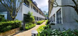 Greenwood Mews (D11), Terrace #522661341